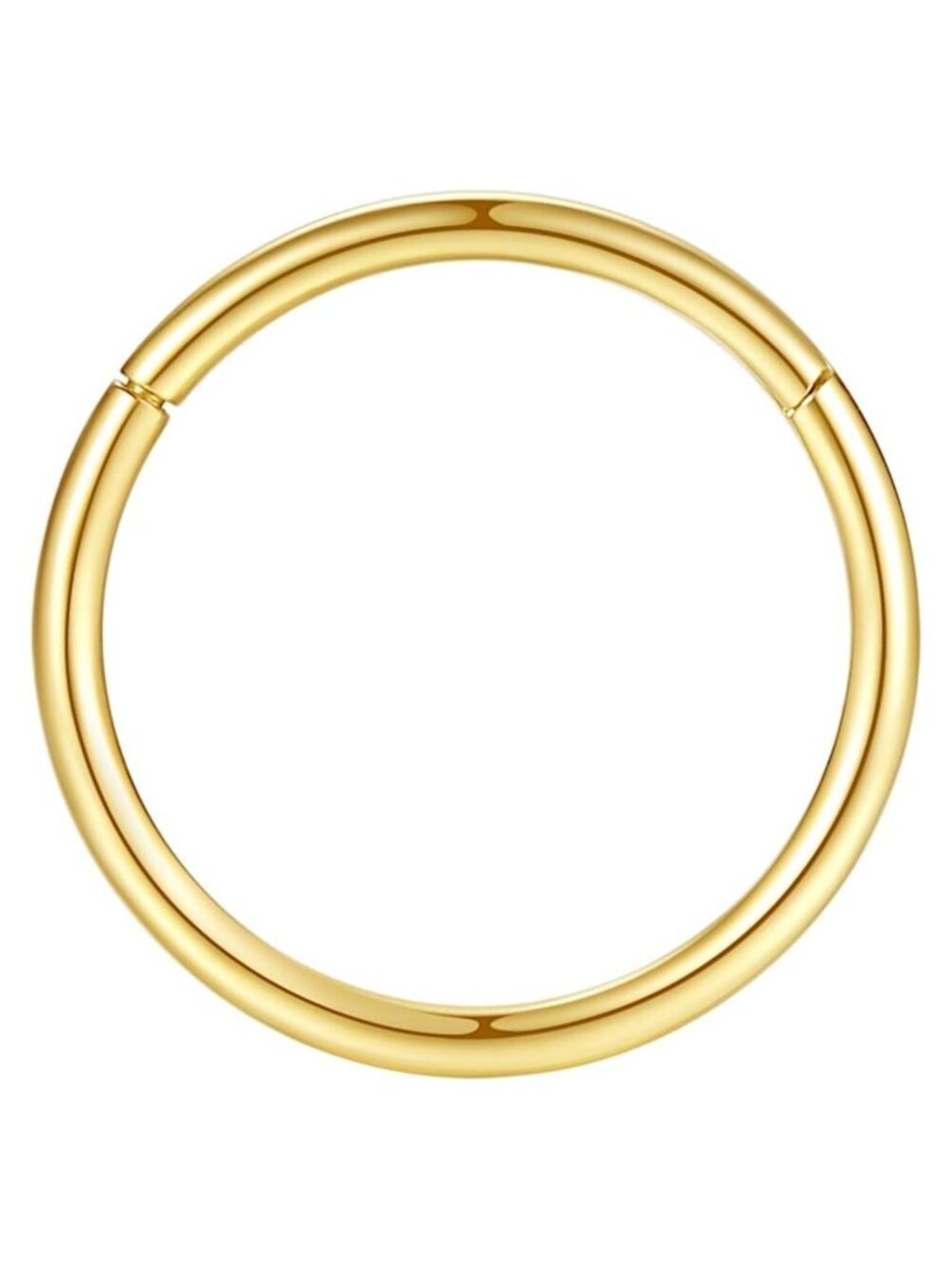 Hypoallergenic 316L Surgical Steel Hinged Segment Ring Nose Hoop 20G 8mm